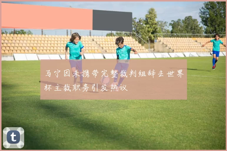 马宁因未携带完整裁判组辞去世界杯主裁职务引发热议